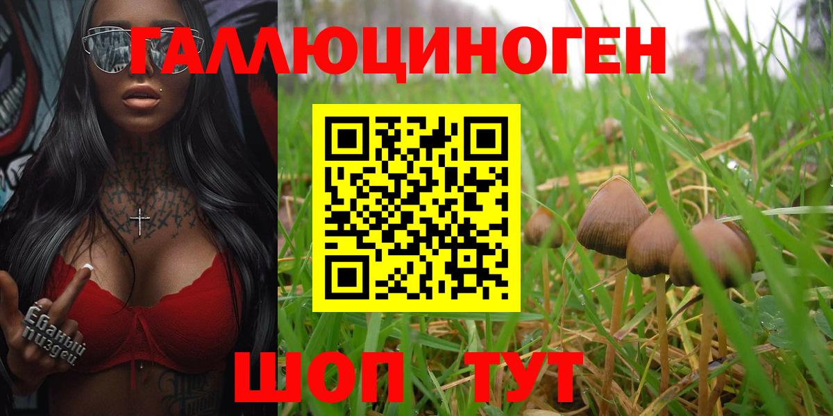 Усолье-Сибирское  наркошоп  Вход с VPN  Галлюциногенные грибы Psilocybine cubensis  Галлюциногенные грибы MAGIC MUSHROOMS 